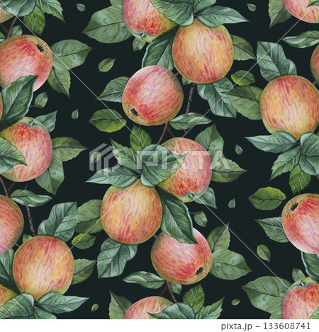 Hand drawn seamless pattern with ripe apples on a dark background. Watercolor 133608741
