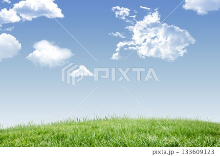 Green grass is swaying on rolling hill under clear sky in flat design, with white clouds 133609123