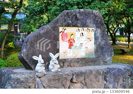 出雲大社の風景 133609546