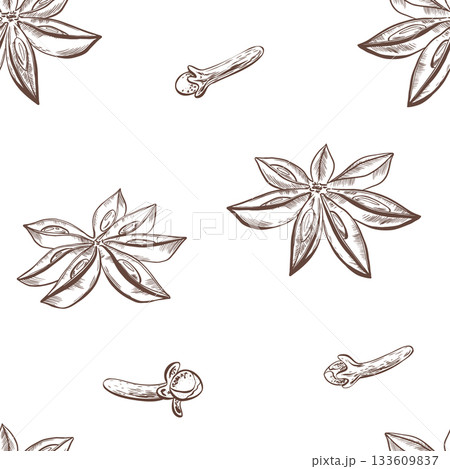 Graphic seamless pattern of star anise,cloves spice in black and white vector hand drawn illustration for spice packaging,culinary,herbal-themed designs.Natural texture with minimalistic elegance 133609837