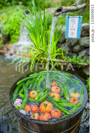 西湖いやしの里根場の冷やし夏野菜（山梨） 133609913