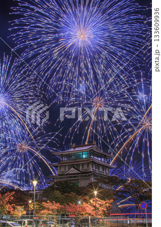 びわ湖秋花火 琵琶湖文化館 133609936