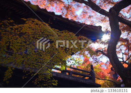 紅葉　秋景色に光差す 133610131