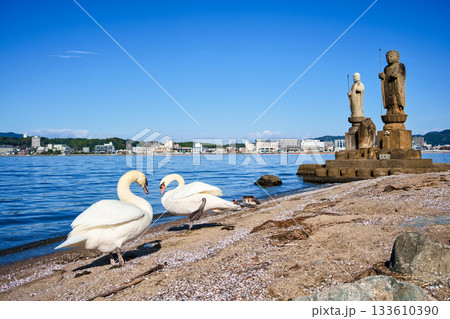 〈島根県〉宍道湖と白鳥と袖師地蔵　11月 133610390