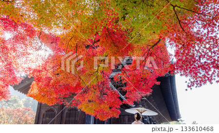 秋の南禅寺 133610468