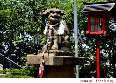 例祭の日の豊足神社の狛犬 例祭の日の豊足神社の狛犬 133610639