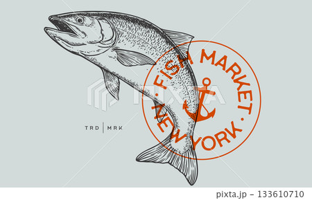 Salmon fish seafood, label. Vintage retro print, seafood salmon fish sketch, logo sign tag label template, pencil style drawing, engrave old school. Hand drawn sketch salmon fish. Vector Illustration 133610710