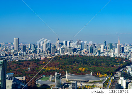 東京・明治神宮と新宿方面の都市風景 東京・明治神宮と新宿方面の都市風景 133610791