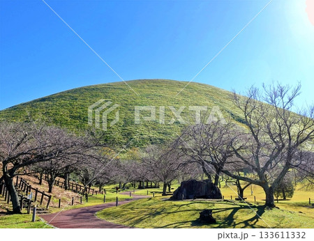 大室山の初秋の風 大室山の初秋の風 133611332