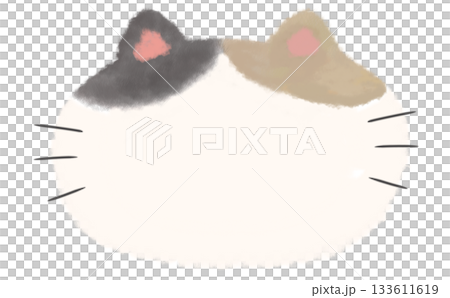 Fluffy hand-drawn calico cat frame material 133611619