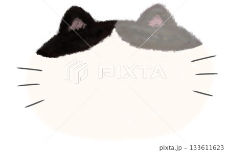 ふわふわ手描きハチワレ猫フレーム素材 ふわふわ手描きハチワレ猫フレーム素材 133611623