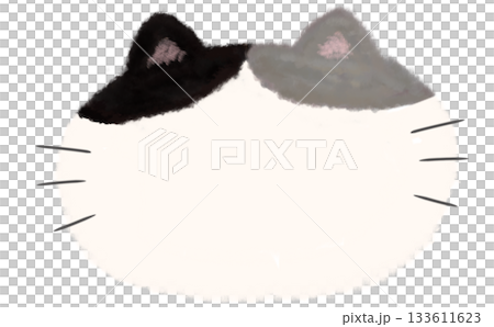 ふわふわ手描きハチワレ猫フレーム素材 ふわふわ手描きハチワレ猫フレーム素材 133611623