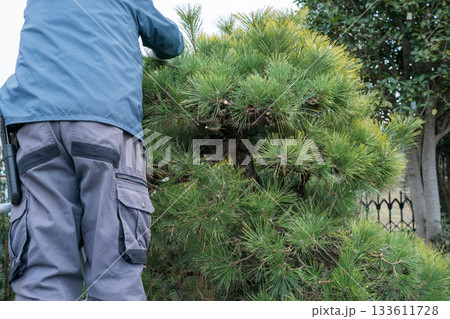 Japanese Gardener 133611728