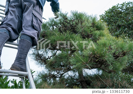 Japanese Gardener 133611730
