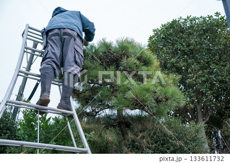 Japanese Gardener 133611732