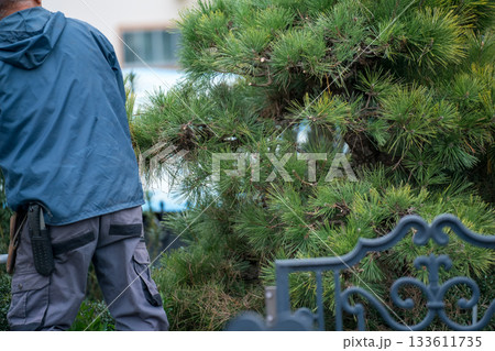 Japanese Gardener 133611735