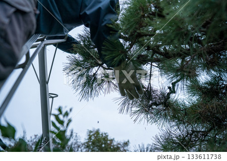 Japanese Gardener 133611738