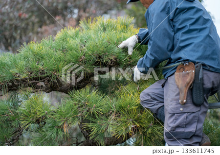 Japanese Gardener 133611745