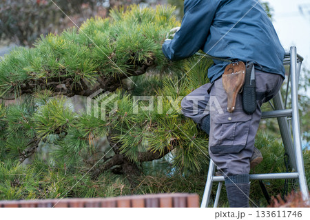 Japanese Gardener 133611746