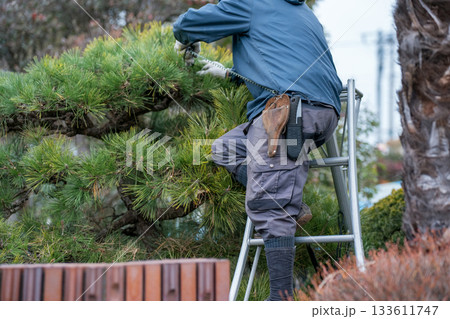 Japanese Gardener 133611747