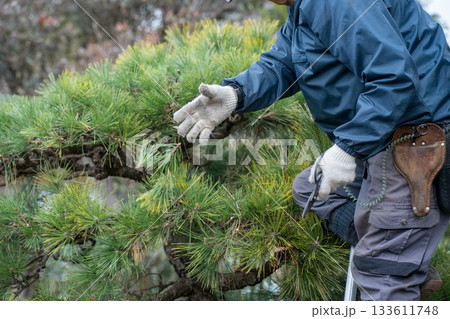 Japanese Gardener 133611748