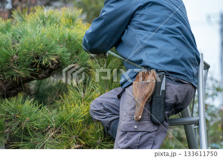 Japanese Gardener Japanese Gardener 133611750