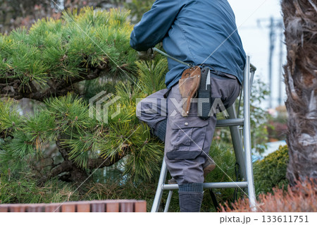 Japanese Gardener Japanese Gardener 133611751
