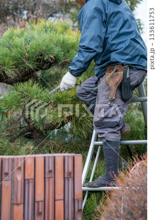 Japanese Gardener 133611753