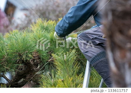 Japanese Gardener 133611757