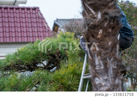 Japanese Gardener 133611758