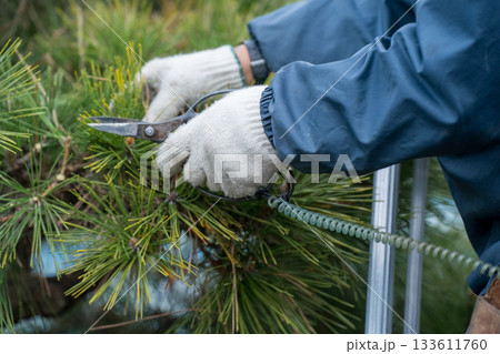 Japanese Gardener Japanese Gardener 133611760