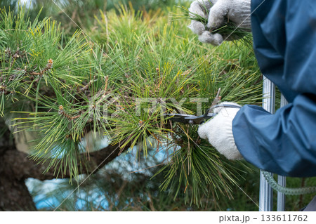 Japanese Gardener 133611762