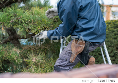 Japanese Gardener 133611763