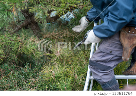 Japanese Gardener 133611764