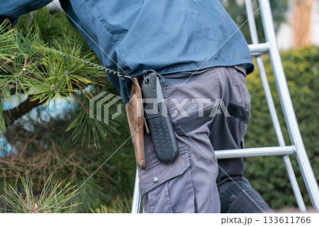 Japanese Gardener 133611766