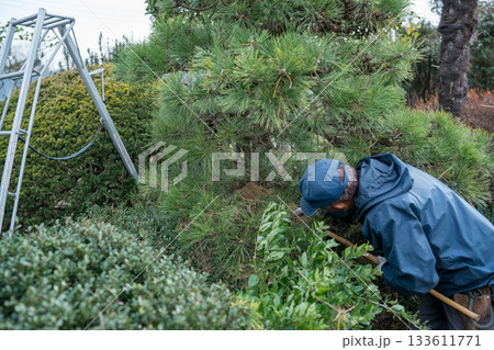 Japanese Gardener Japanese Gardener 133611771