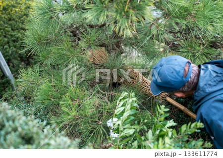 Japanese Gardener 133611774
