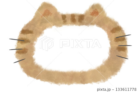 トラ猫の手描きふわふわフレーム素材 133611778