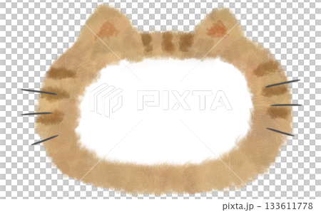 手繪的虎斑貓蓬鬆邊框素材 133611778