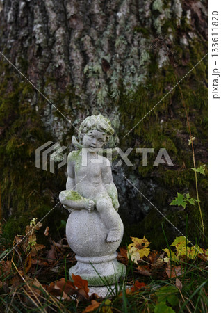 A small stone cherub statue sits at the base of a moss-covered tree A small stone cherub statue sits at the base of a moss-covered tree 133611820