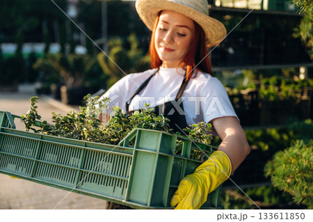 Under the sunlight, holding plants. Young redhead woman is taking care of garden Under the sunlight, holding plants. Young redhead woman is taking care of garden 133611850