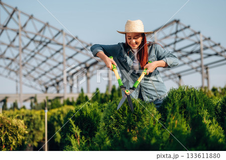 Using scissors to cut the bushes. Young redhead woman is taking care of garden 133611880