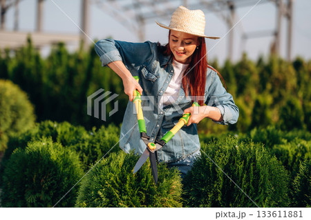 Using scissors to cut the bushes. Young redhead woman is taking care of garden 133611881