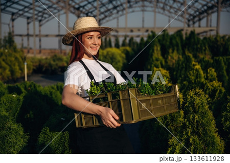 Bunch of plants in a plastic box. Young redhead woman is taking care of garden Bunch of plants in a plastic box. Young redhead woman is taking care of garden 133611928