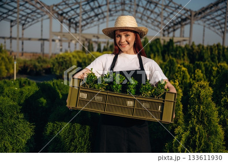 Bunch of plants in a plastic box. Young redhead woman is taking care of garden 133611930