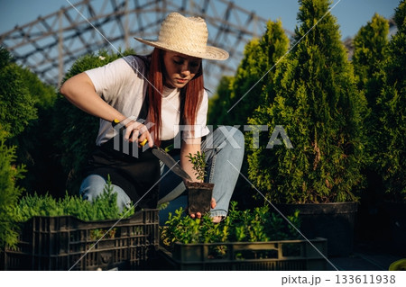 Transplants the plant, uses a knife. Young redhead woman is taking care of garden 133611938