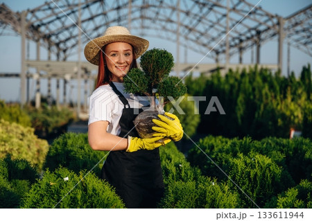 Cheerful facial expression, holding plant. Young redhead woman is taking care of garden Cheerful facial expression, holding plant. Young redhead woman is taking care of garden 133611944