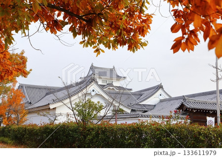 紅葉に包まれる関宿城の天守閣 紅葉に包まれる関宿城の天守閣 133611979