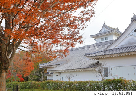 紅葉に包まれる関宿城の天守閣 133611981