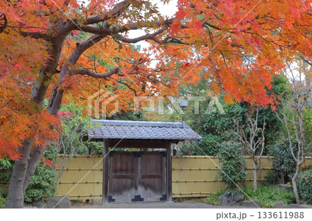 紅葉に包まれる関宿城の日本庭園正門 紅葉に包まれる関宿城の日本庭園正門 133611988